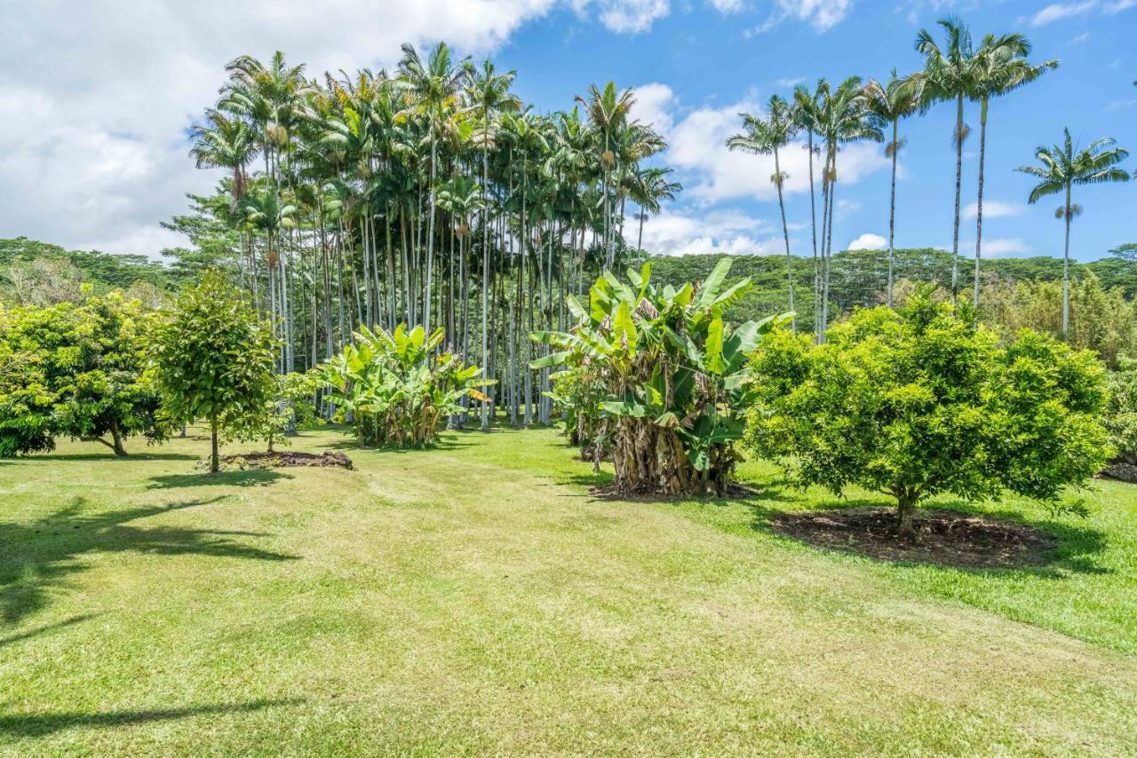 Old Hawaiian Bed And Breakfast Хило Екстериор снимка