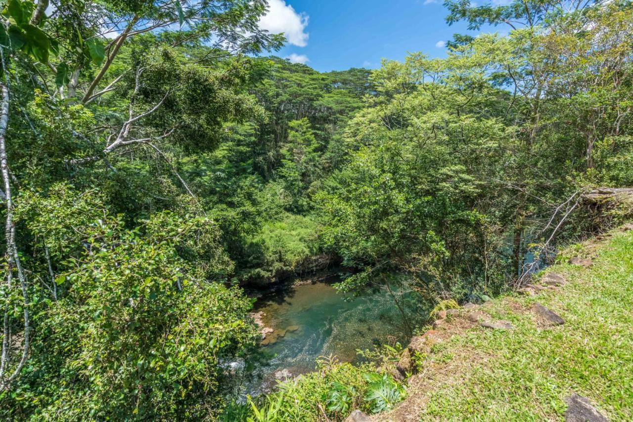 Old Hawaiian Bed And Breakfast Хило Екстериор снимка