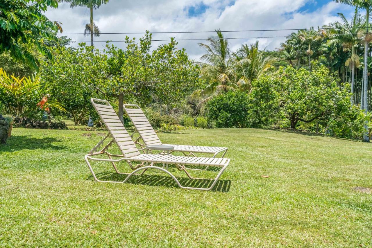 Old Hawaiian Bed And Breakfast Хило Екстериор снимка