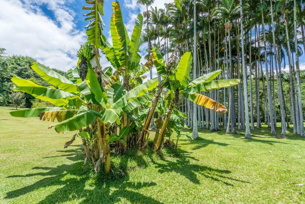 Old Hawaiian Bed And Breakfast Хило Екстериор снимка