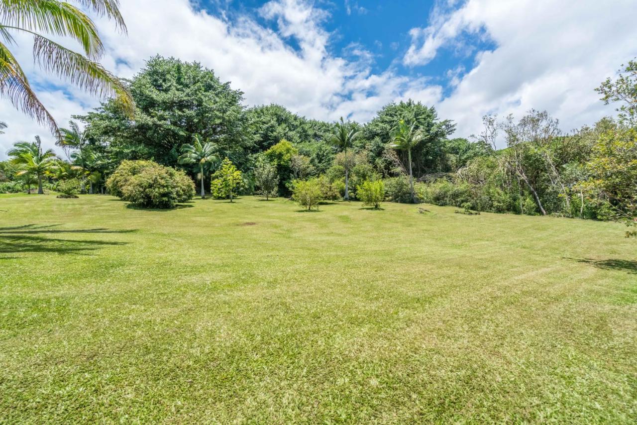 Old Hawaiian Bed And Breakfast Хило Екстериор снимка