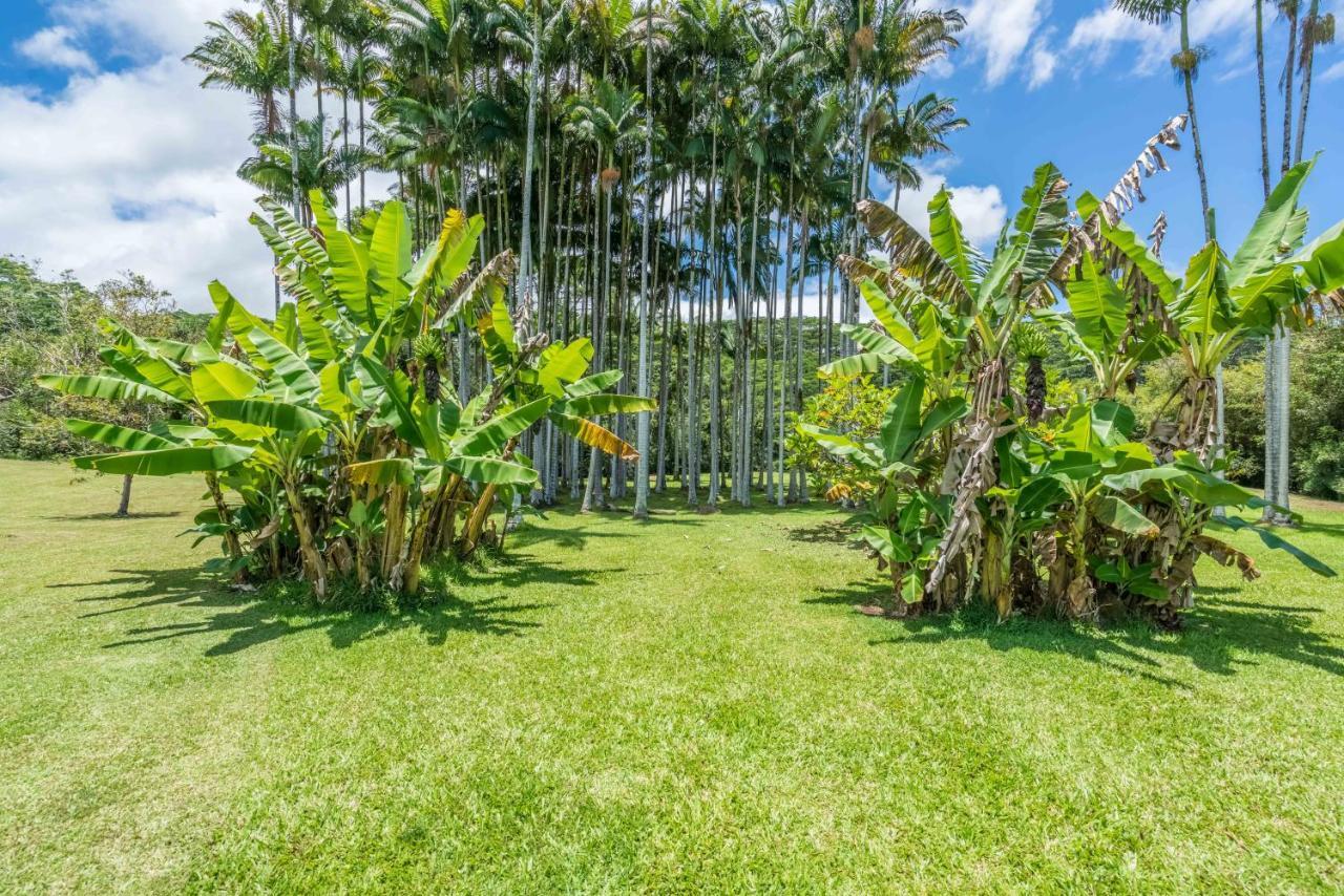 Old Hawaiian Bed And Breakfast Хило Екстериор снимка