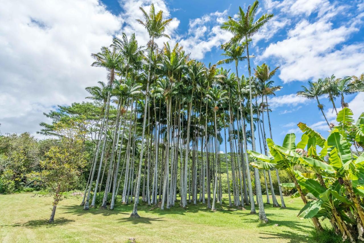 Old Hawaiian Bed And Breakfast Хило Екстериор снимка